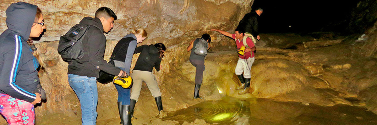 Sarcophagus of Karajía and Quiocta Cavern Full Day  en Chachapoyas 